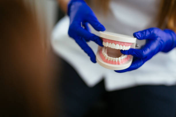Best Pediatric Dentistry  in Gretna, NE